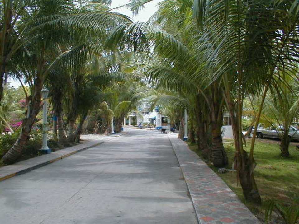 Hotelzufahrt Decameron Marazul