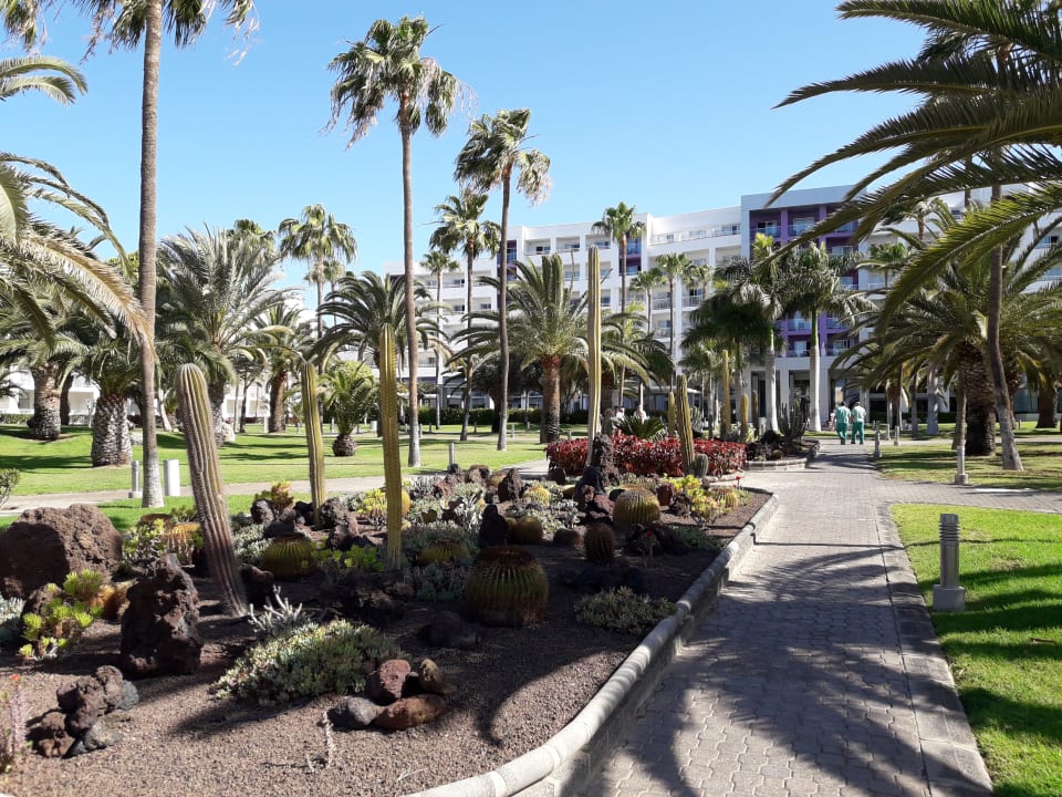 Gartenanlage Hotel Riu Gran Canaria