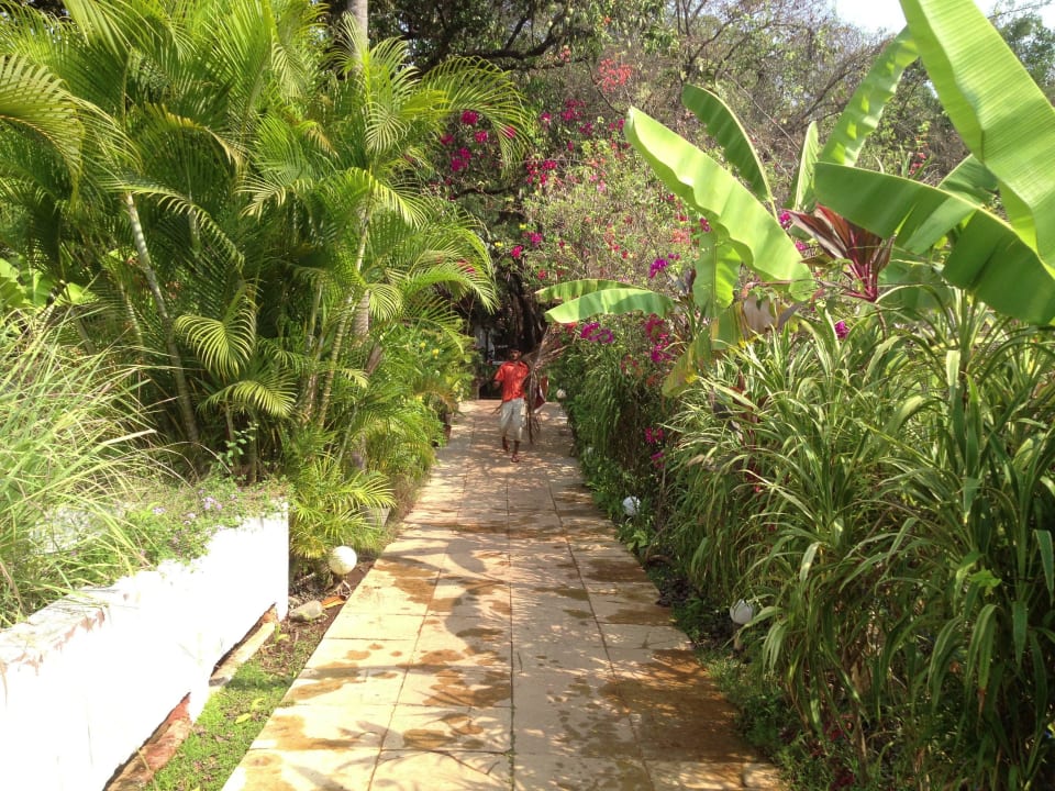 Eingang Hotel Laguna Anjuna