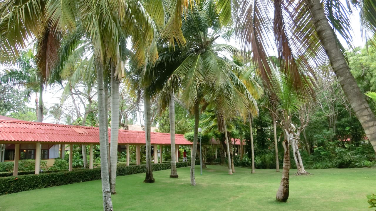 Außblick vom Zimmer Grand Palladium Select Bávaro Resort & Spa