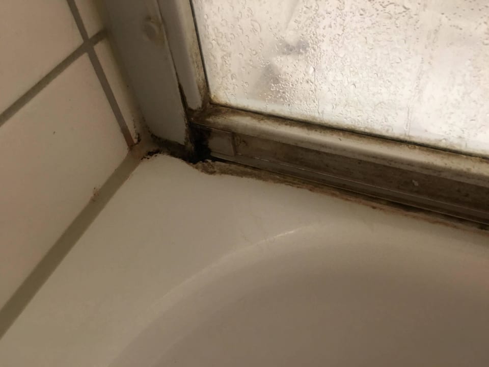 Schimmel in der Dusche I JUFA Hotel Jülich