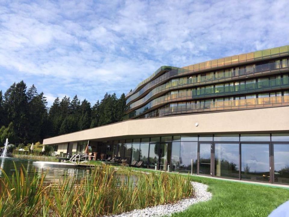 Ausbilck von der Schaukel neben dem Schwimmteich AVIVA make friends