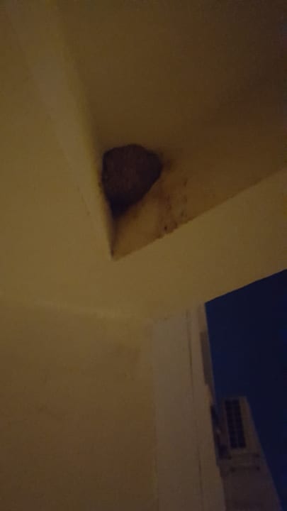 Zimmer Hotel Vista Hill