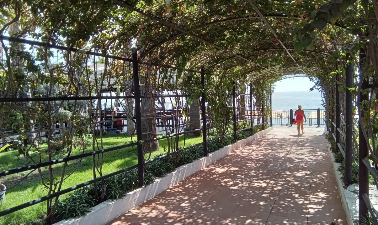 Gartenanlage Club Akman Beach