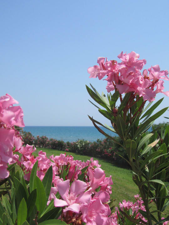 Hotel Can Garden Resort Can Garden Resort