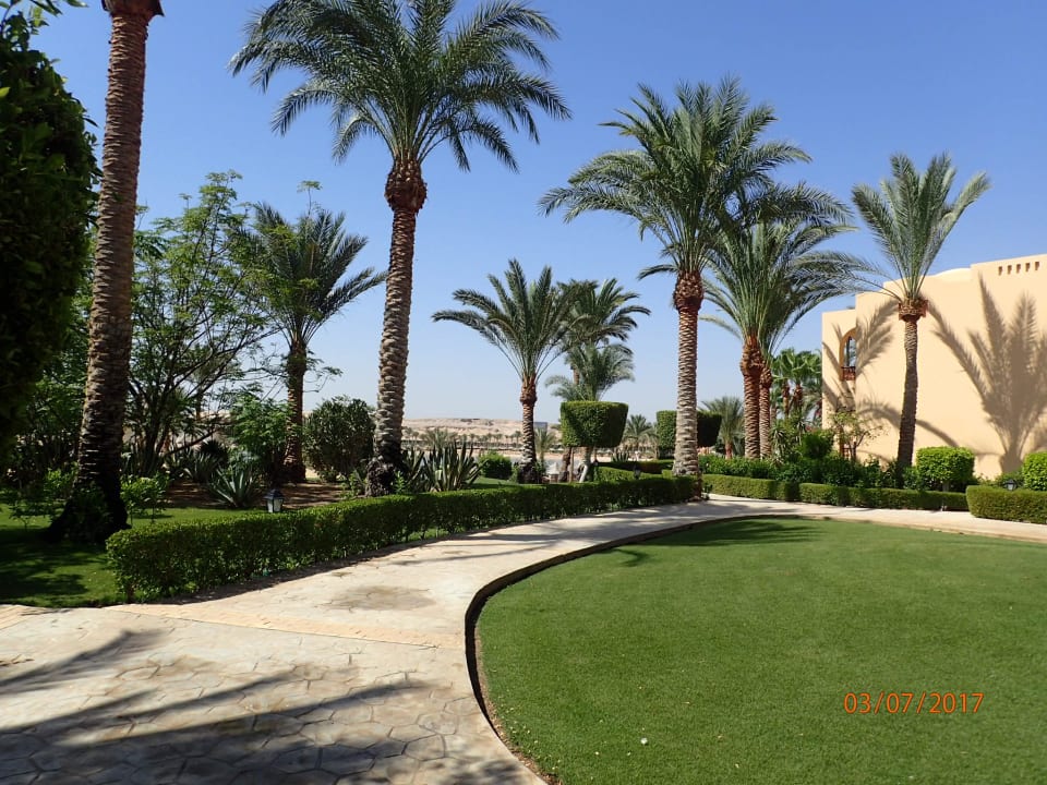 Gartenanlage Steigenberger Coraya Beach - Adults only