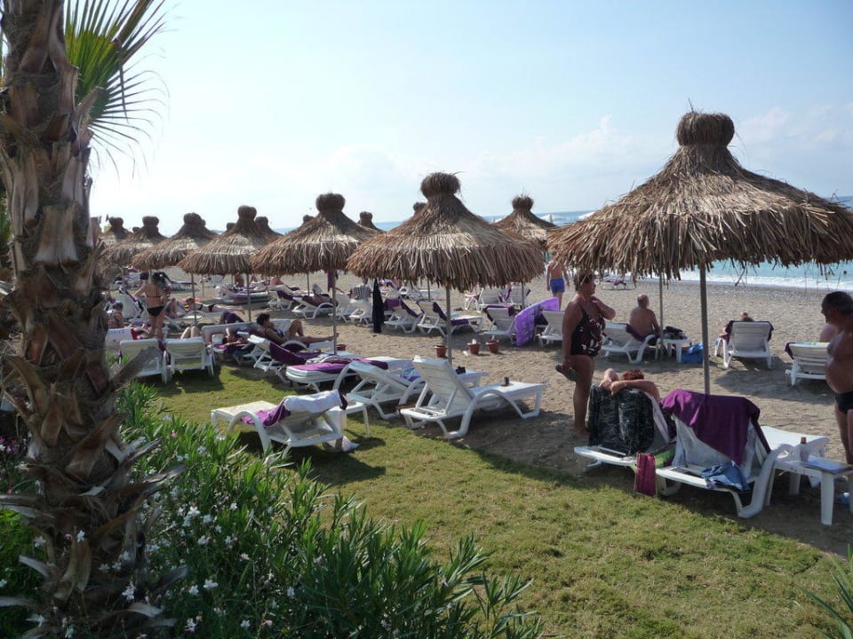 Sonnenschirme am Strand Q Premium Resort