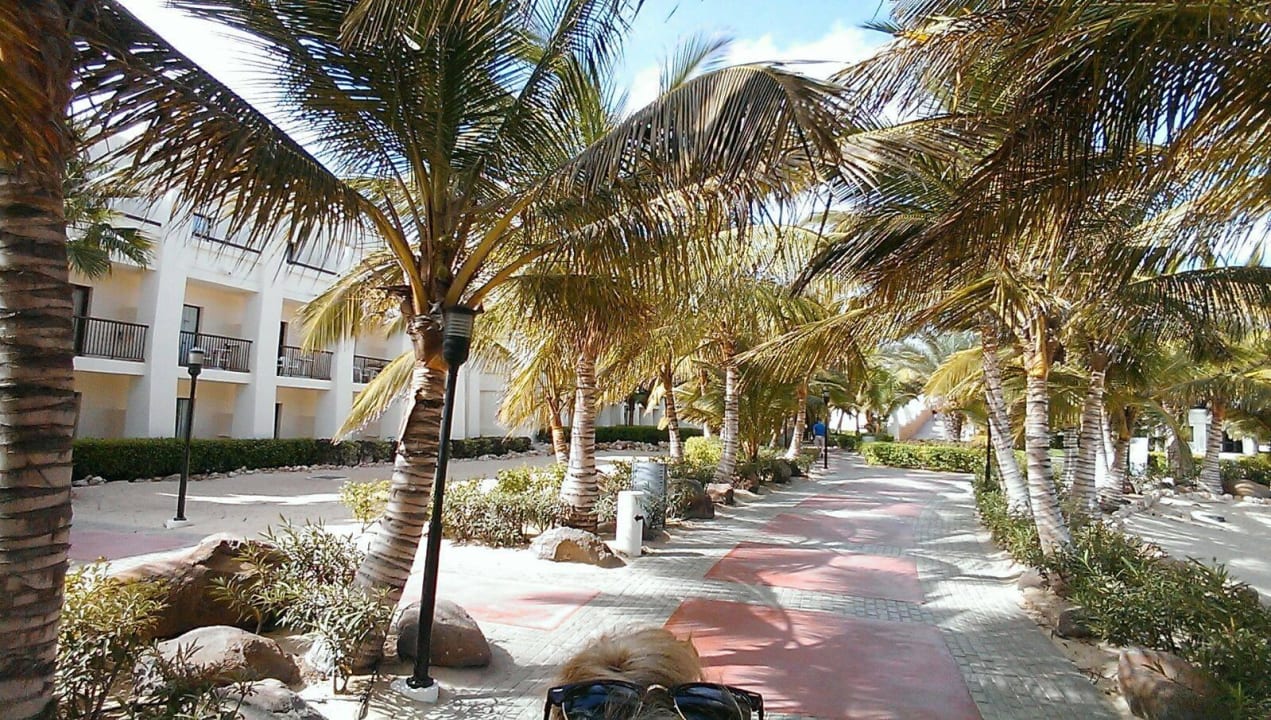 Weg zum Strand im Hotel Hotel Riu Karamboa