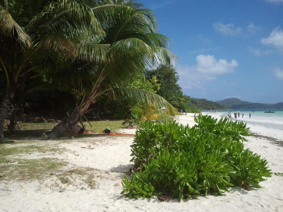  plaża  ogólnodostepna Berjaya Praslin Resort