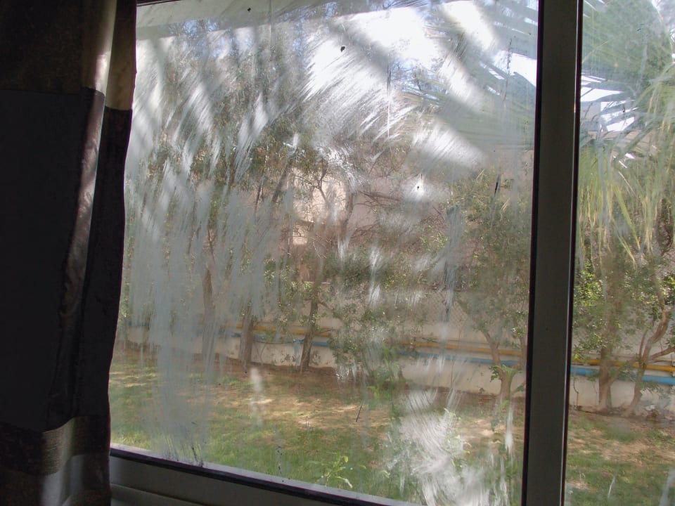 Fenster Palmyra Golden Beach