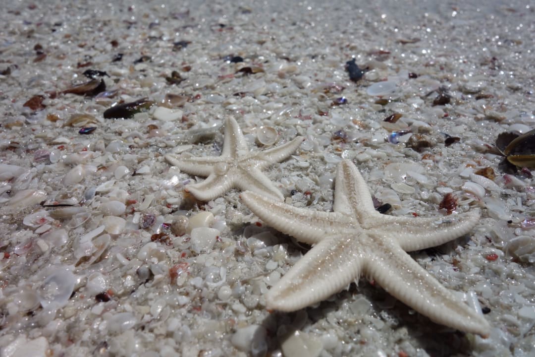 Strand Salalah Rotana Resort