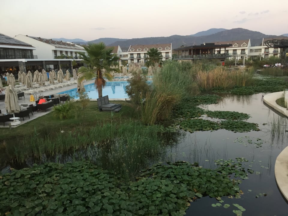 Gartenanlage Jiva Beach Resort
