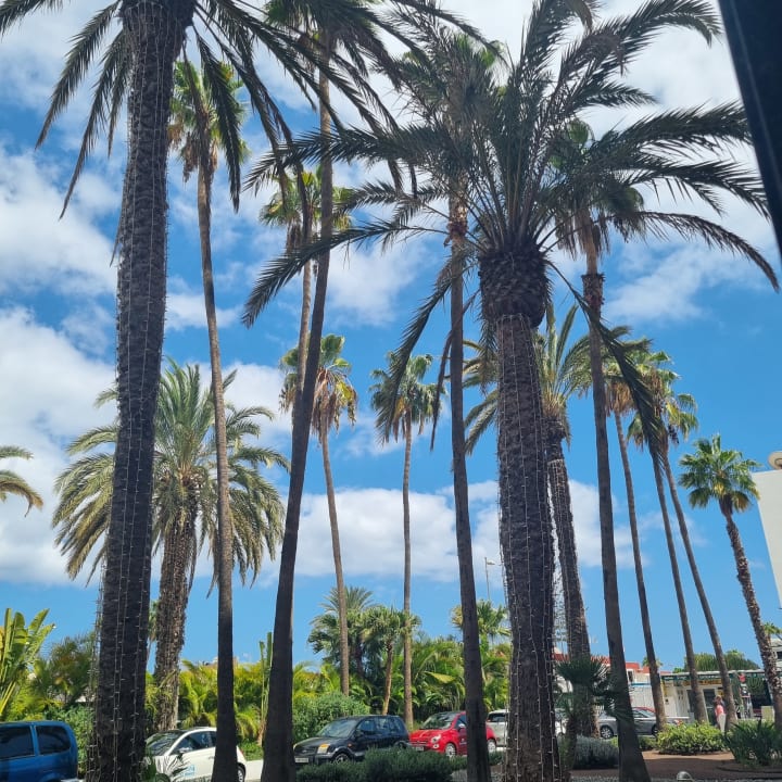 Außenansicht Bull Escorial & Spa