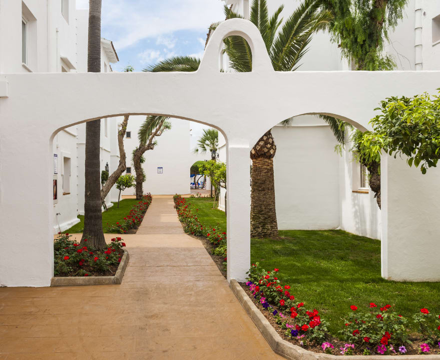 Sonstiges Globales Bouganvilla