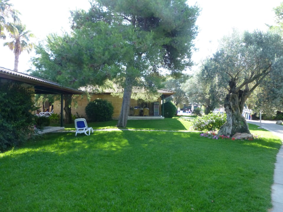 Garten PortBlue Club Pollentia Resort & Spa