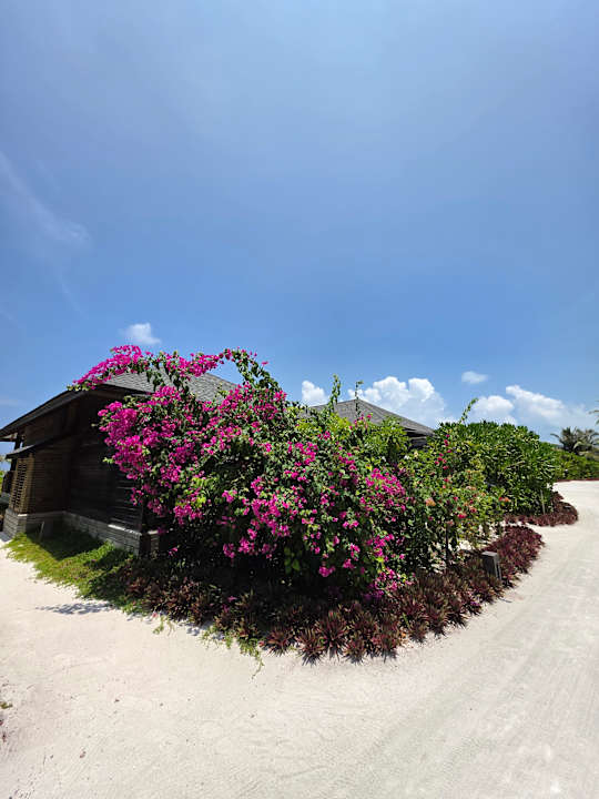 Gartenanlage Jawakara Islands Maldives