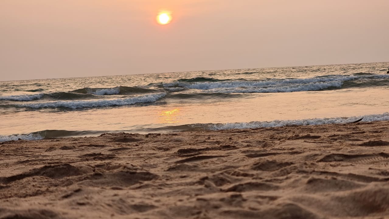 Strand Thaala Bentota