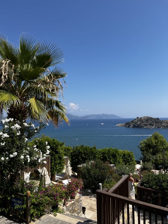 Ausblick TUI BLUE Seno - Adults Only