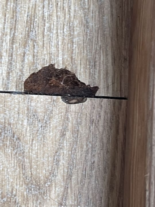 Zimmer Limak Limra Hotel & Resort