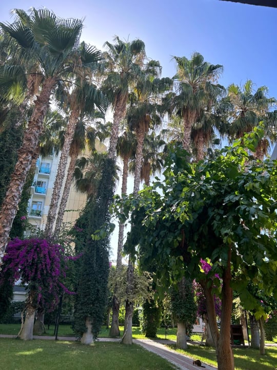 Ausblick Hotel Gardenia Beach