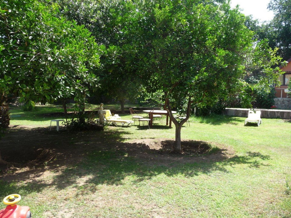 Garten Hotel Neptün/Neptun