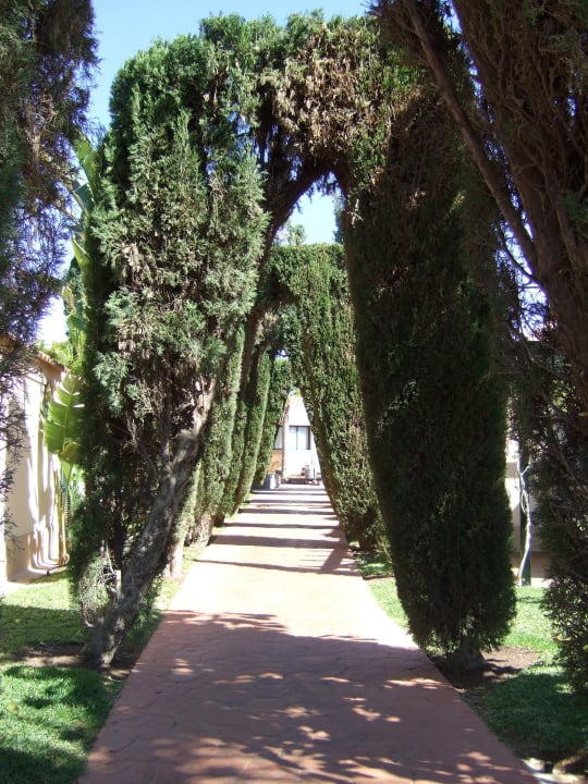 Gartenanlage allsun Hotel Esplendido