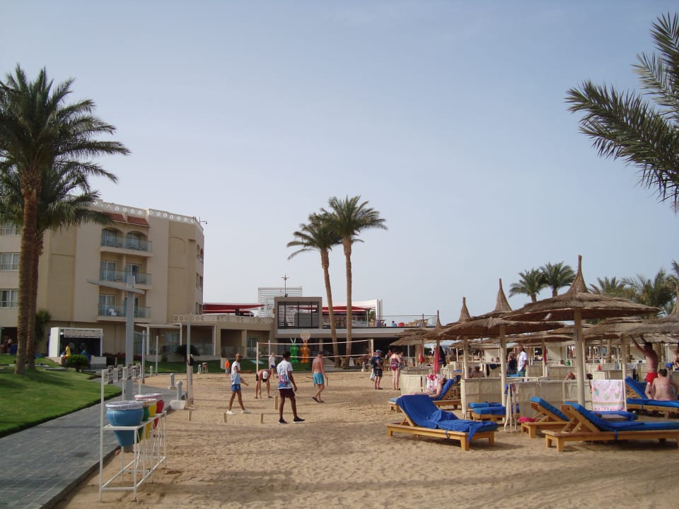 Gartenanlage Beach Albatros Resort