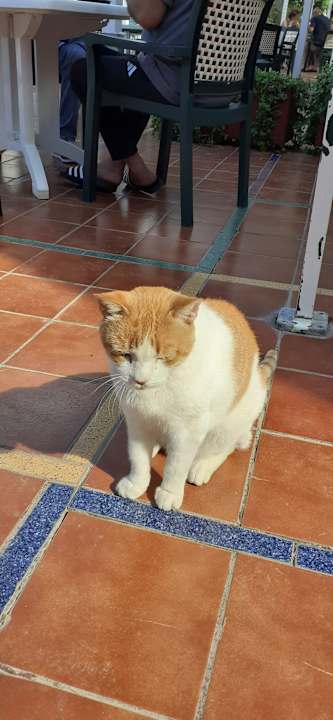 Pool Club Hotel Drago Park