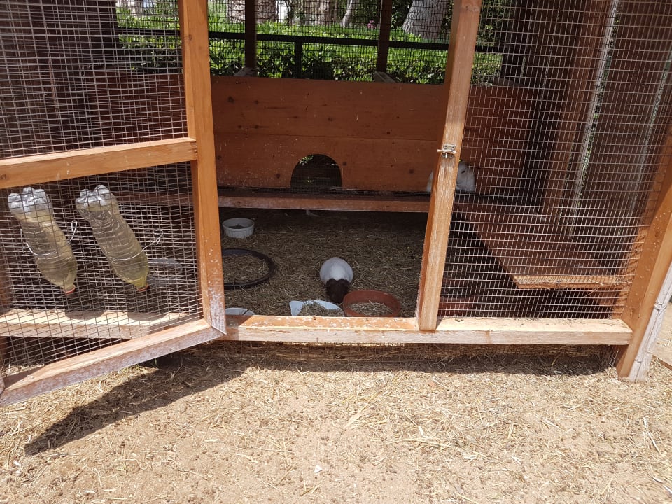 Streichelzoo  Anissa Beach & Village