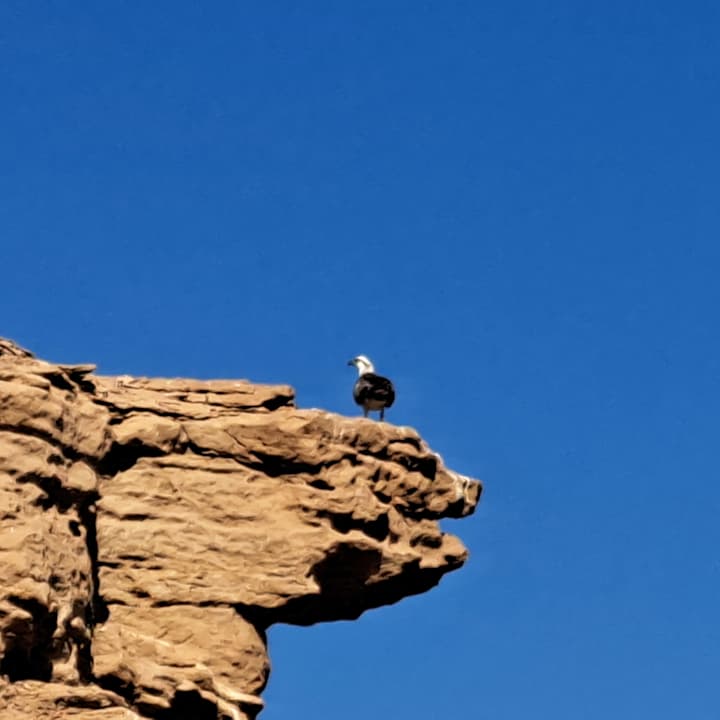 Strand Pickalbatros Villaggio Resort - Portofino