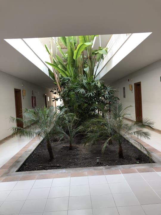 Sonstiges allsun Hotel Eden Playa