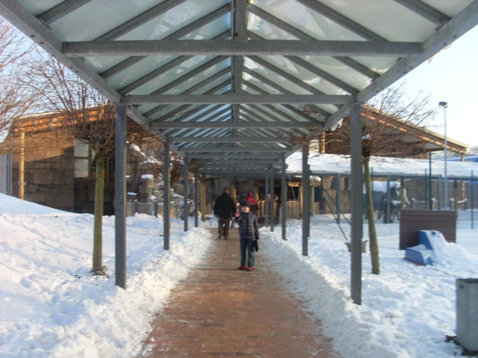 Weg Ferienwohnungen Ferienpark Weissenhäuser Strand