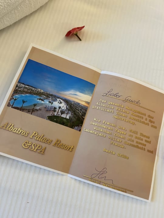 Sonstiges Pickalbatros Palace Resort