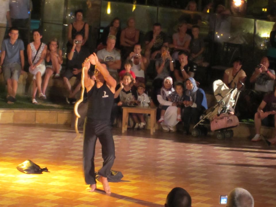 Cobrashow Pickalbatros Palace Resort