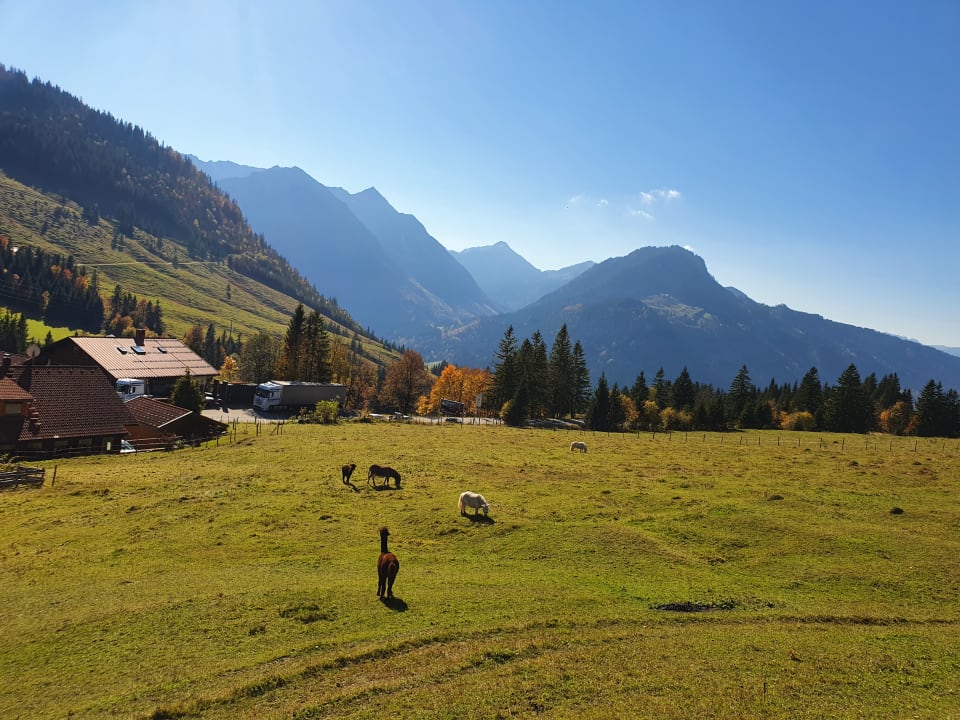 Ausblick Oberjoch - Familux Resort