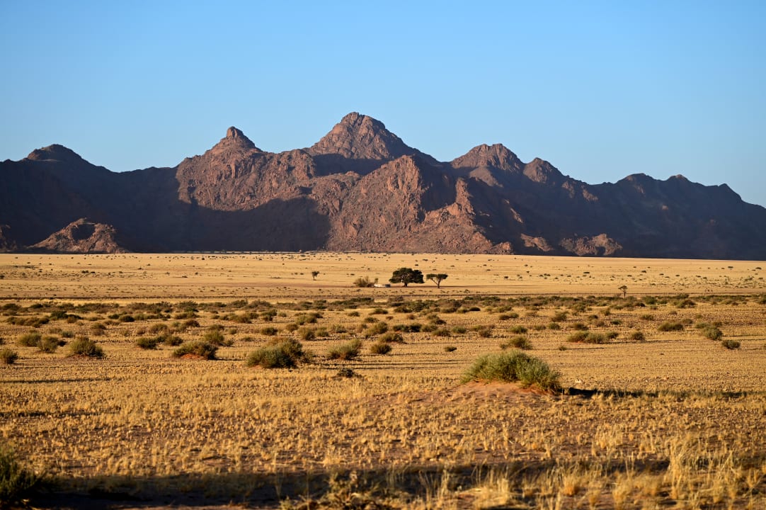 Ausblick Desert Camp