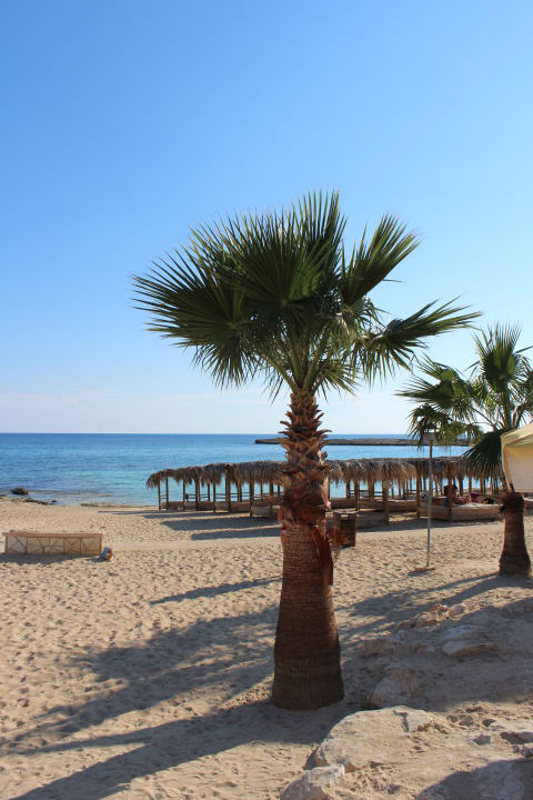 Strand Asterias Beach