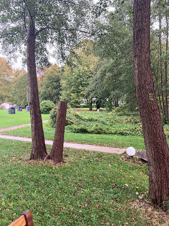 Außenansicht Seehotel Frankenhorst - BW Signature Collection