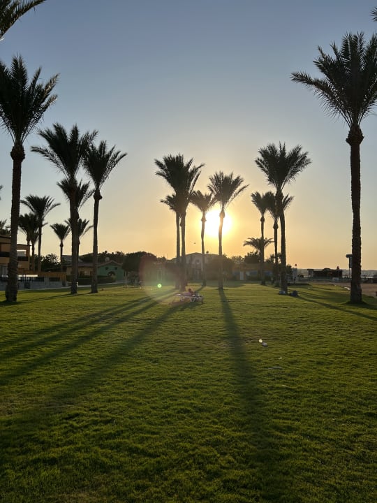 Gartenanlage Stella Beach Resort & Spa Makadi Bay