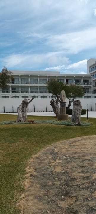 Gartenanlage THB Cala Lliteras