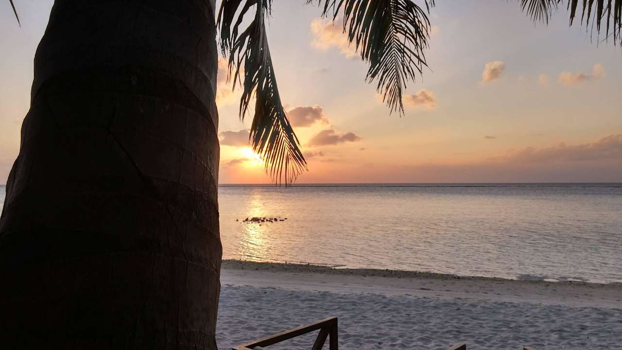 Von der Bar Summer Island Maldives