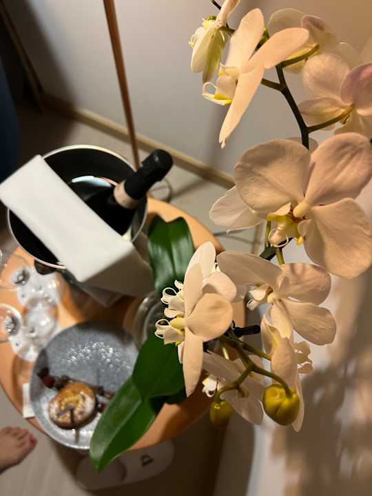 Zimmer Hotel Es Príncep