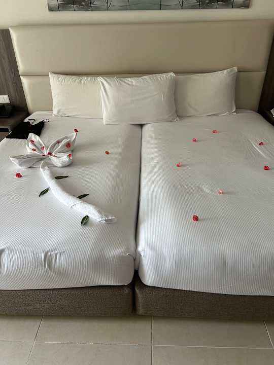 Zimmer Albatros Makadi Resort