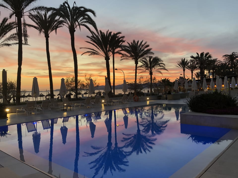 Pool Myseahouse Flamingo - Adults only