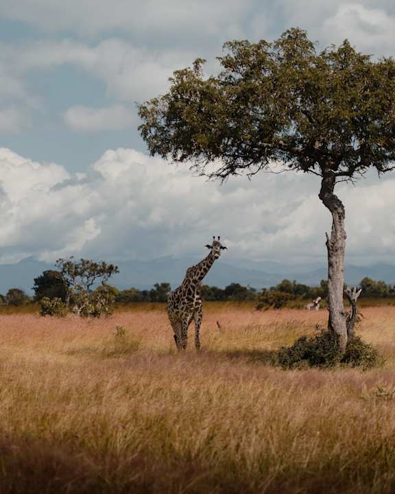 Sonstiges Hotel Riu Palace Zanzibar