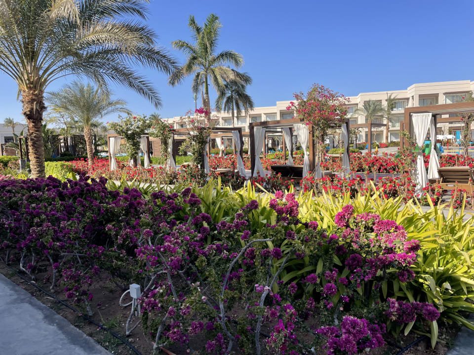 Gartenanlage Steigenberger Resort Ras Soma