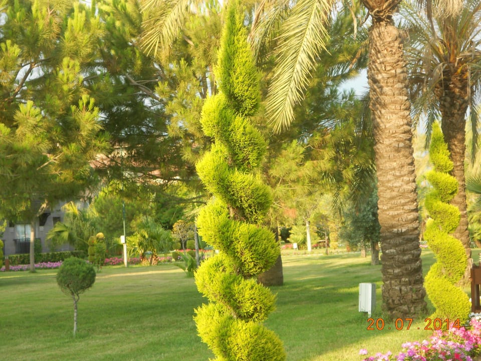 Wunderschön gepflegt Calimera Serra Palace