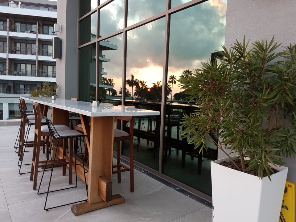 Gastro Acanthus Cennet Barut Collection