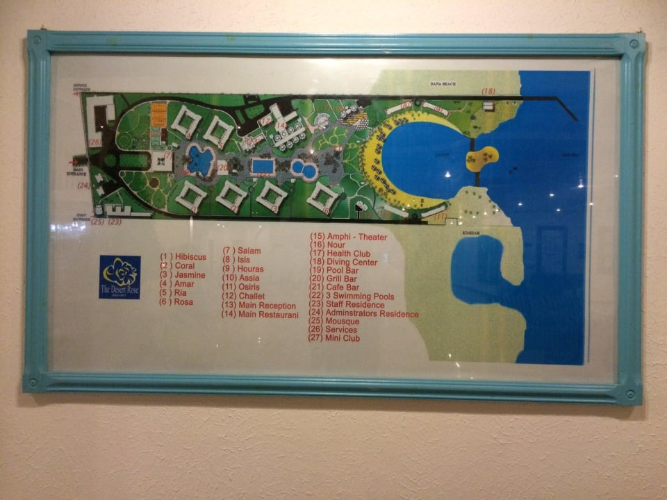 The Desert Rose Desert Rose