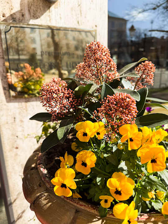 Außenansicht City Hotel Ost am Kö